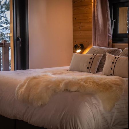 Chalet Du Bois Melay - Piscine - Proche Pistes - 15 Personnes 라 플라뉴 외부 사진
